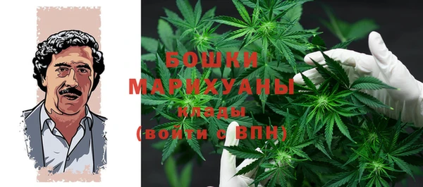 ешки Алзамай