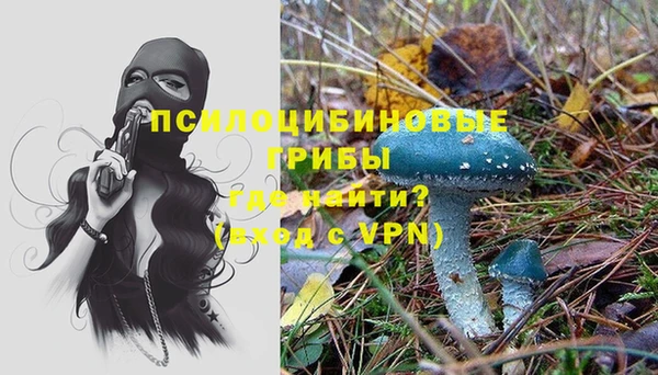 кокс Алексин