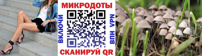 Галлюциногенные грибы мицелий  где продают   это какой сайт  Еманжелинск 